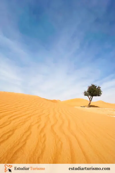 Datos interesantes del desierto