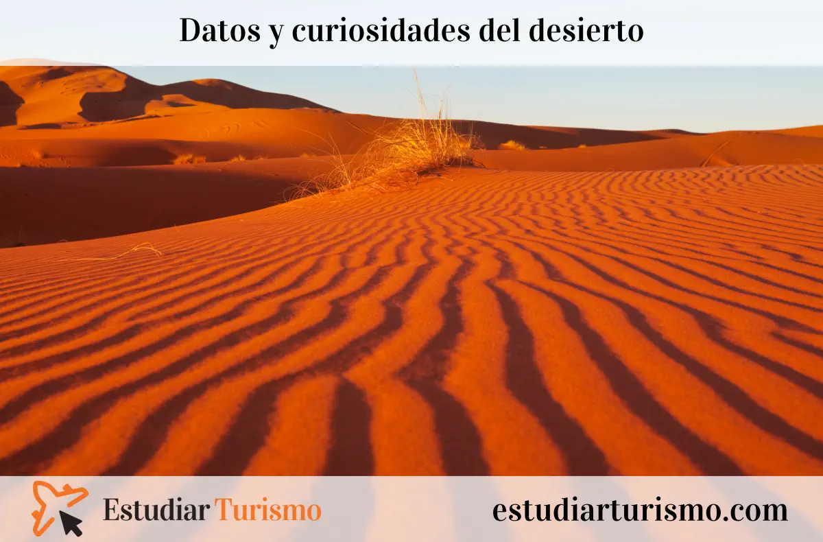 Datos y curiosidades del desierto