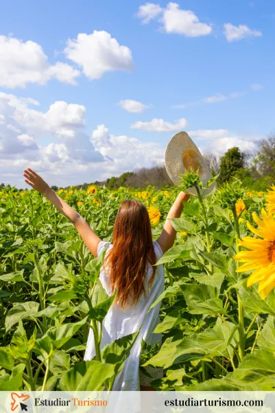 Definición de agroturismo Definición de agroturismo
